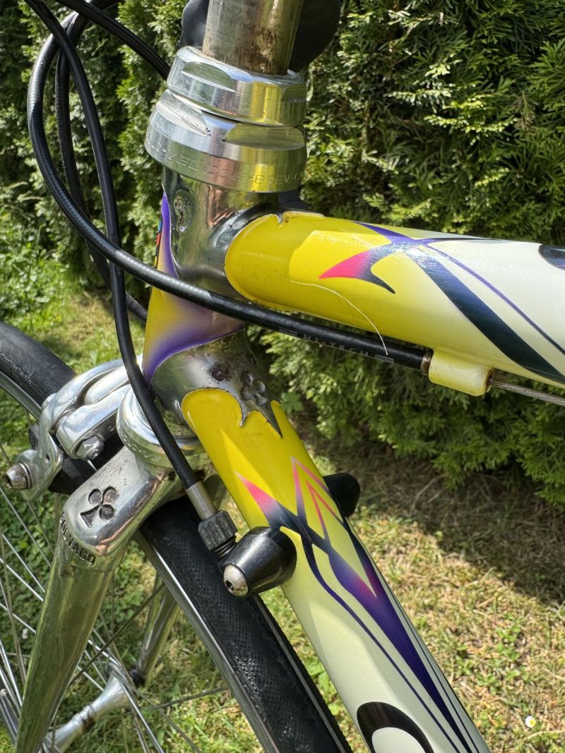 Colnago Tecnos Art Decor