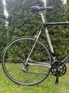 Colnago Tecnos Art Decor