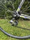 Colnago Tecnos Art Decor