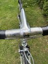 Colnago Tecnos Art Decor