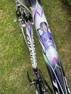Colnago Tecnos Art Decor