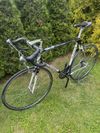 Colnago Tecnos Art Decor
