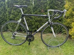 Colnago Tecnos Art Decor