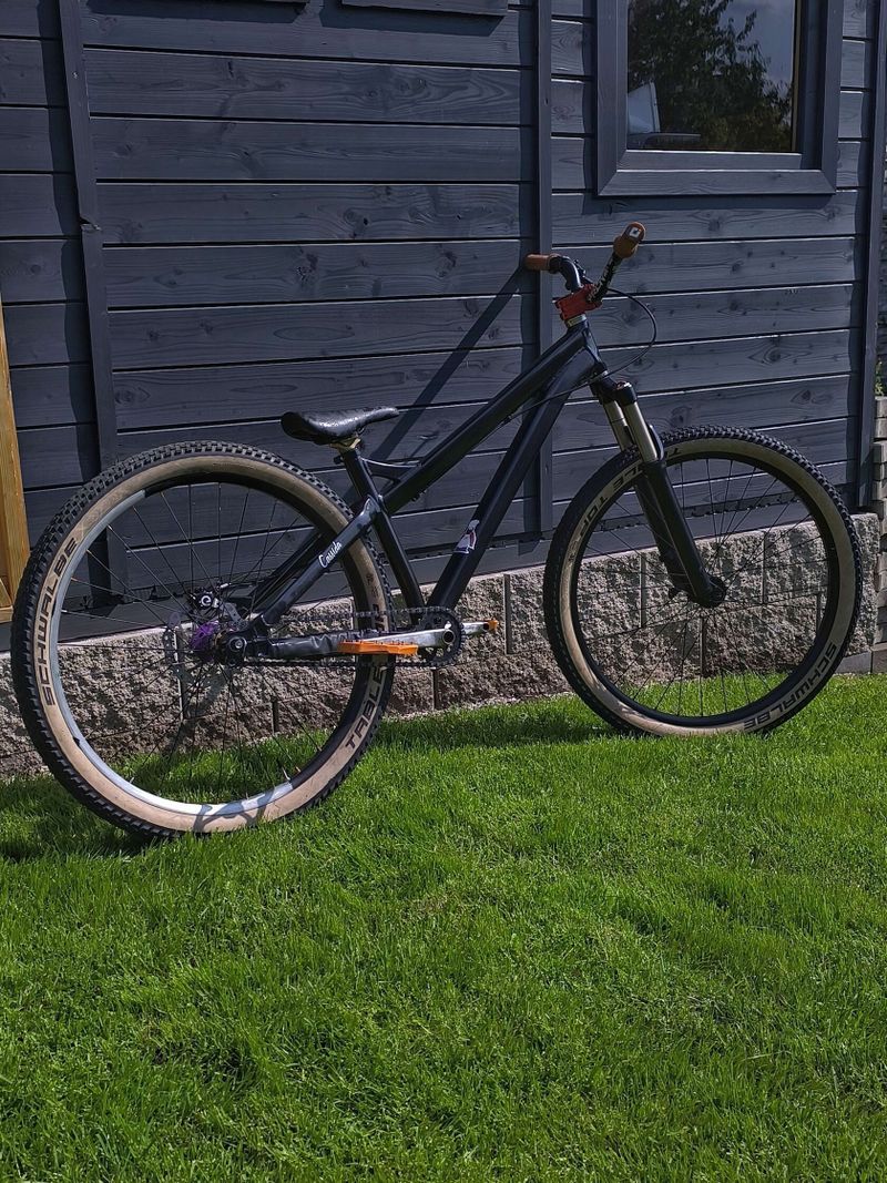 Dirtjump Specialized P3
