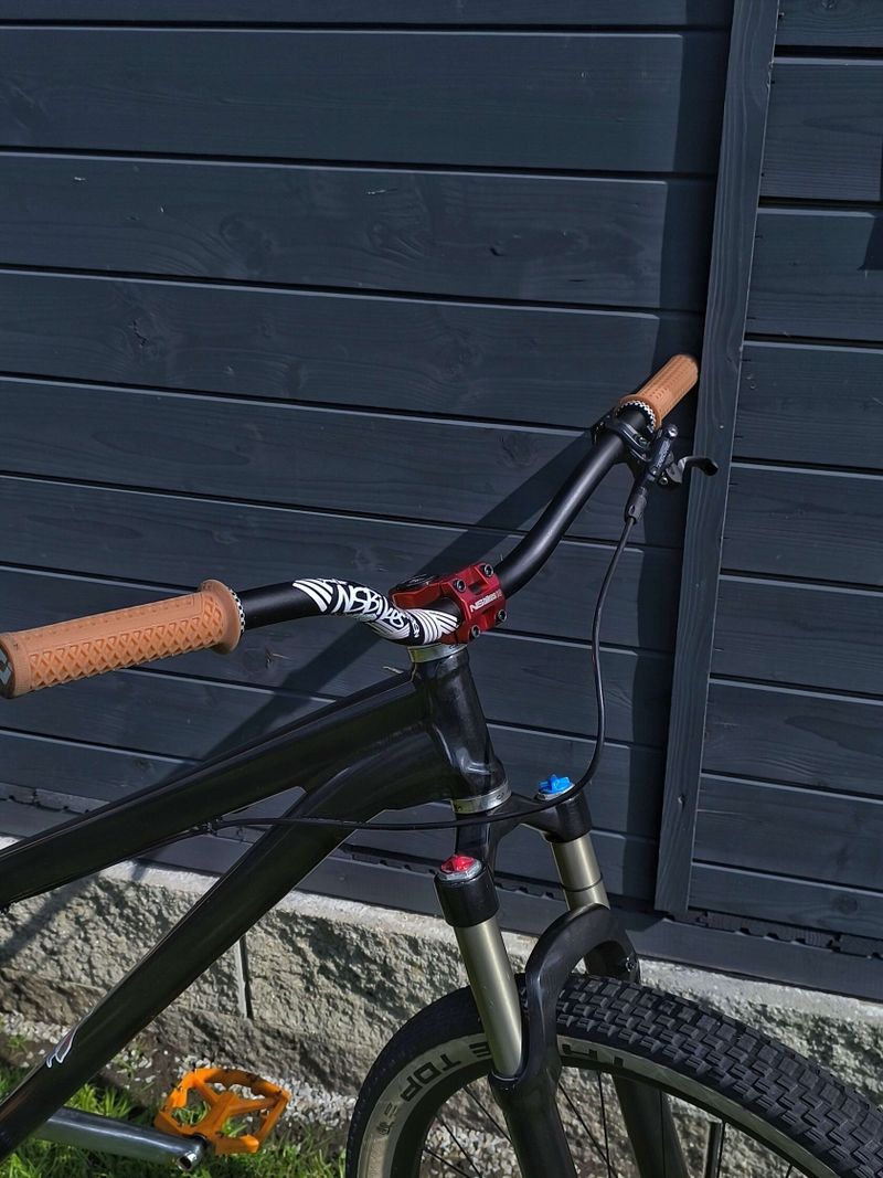 Dirtjump Specialized P3