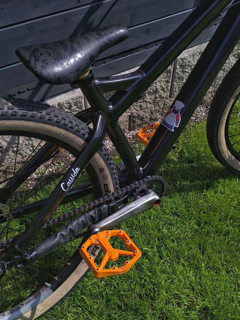 Dirtjump Specialized P3