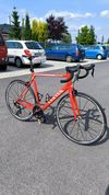 Canyon Endurace CF 7.0 