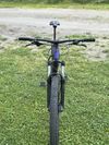 Trek Roscoe 6