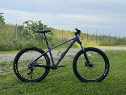 Trek Roscoe 6