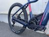 Bergamont Erevox Fmn