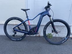 Bergamont Erevox Fmn