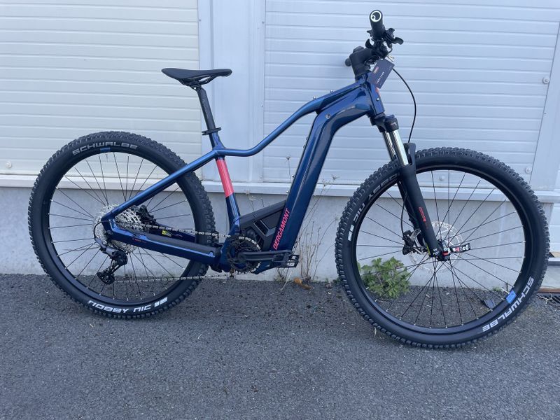 Bergamont Erevox Fmn