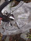 Sada Shimano Ultegra 6600 2x10
