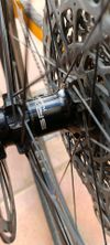 Trek Procaliber 9.7 Carbon XL-/Sram XO1/Fox/SunRingle/