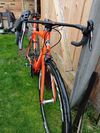 Prodám colnago V1r, velikost 54.