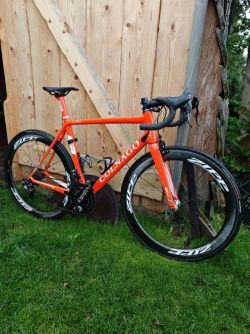 Prodám colnago V1r, velikost 54.