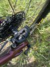 Specialized Status 160