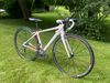 Cannondale Synapse carbon vel. XS