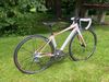 Cannondale Synapse carbon vel. XS