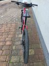 Horské kolo Specialized Crave comp