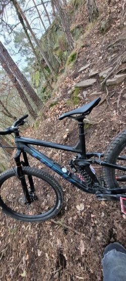 Trek slash 8 2020