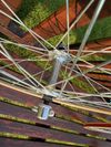 Nové výplety - náboje Shimano 1978