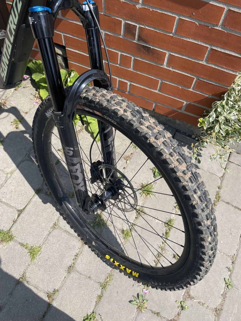 Santa Cruz Bronson C