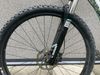 Kolo Specialized Rumor