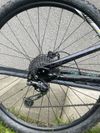 Kolo Specialized Rumor