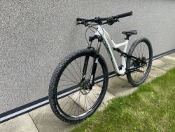Kolo Specialized Rumor