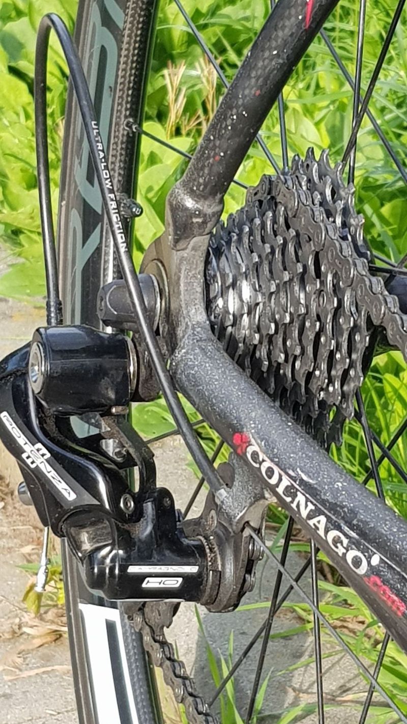 Colnago