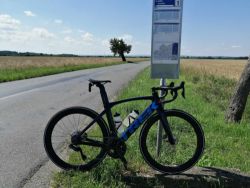 Trek Madone SL7 vel. 54 