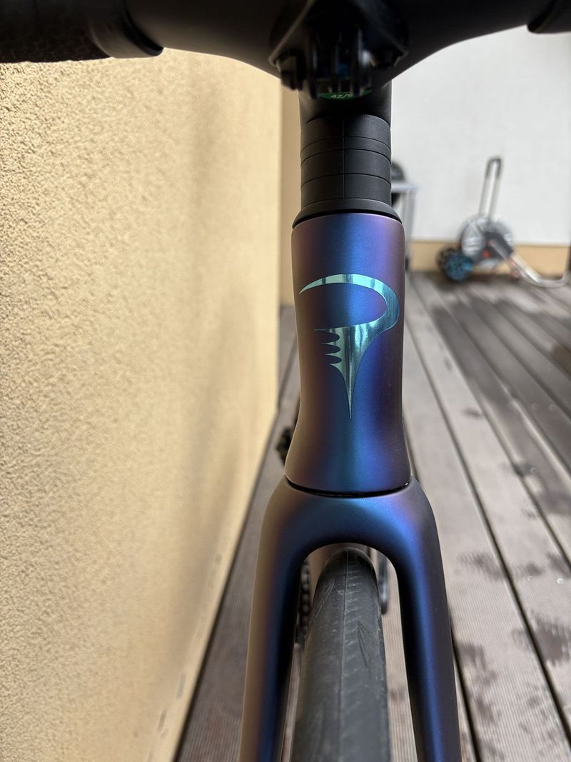 Pinarello Dogma F - 2025, Luxter blue