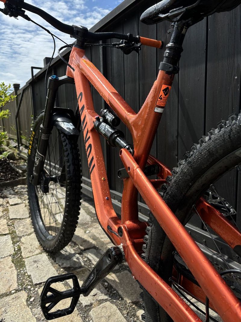 Canyon spectral AL6 2022