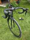 Giant defy advanced