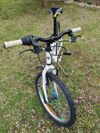 Kolo Author Cosmic 20"