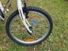 Kolo Author Cosmic 20"