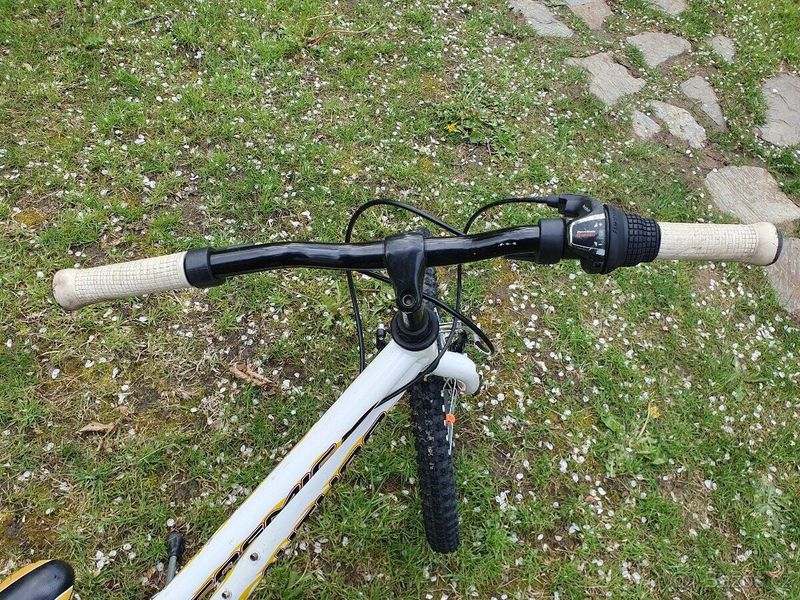 Kolo Author Cosmic 20"