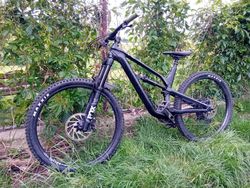 Canyon Spectral AL 5 2020