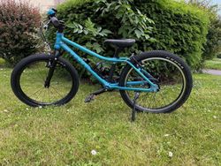 Rascal 20"
