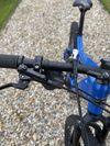 Leader fox ORTON 29