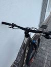 PIVOT FIREBIRD 