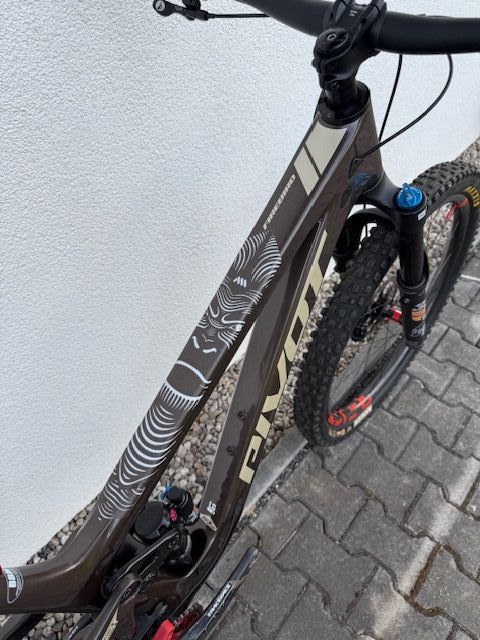 PIVOT FIREBIRD 