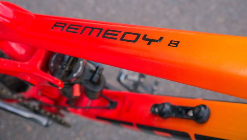 2021 TREK REMEDY 8 