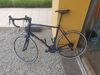 Silniční kolo Trek Domane AL 2 - blue/matte trek black