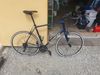 Silniční kolo Trek Domane AL 2 - blue/matte trek black