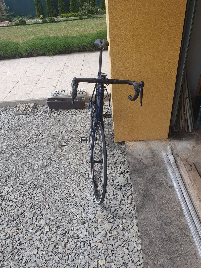Silniční kolo Trek Domane AL 2 - blue/matte trek black