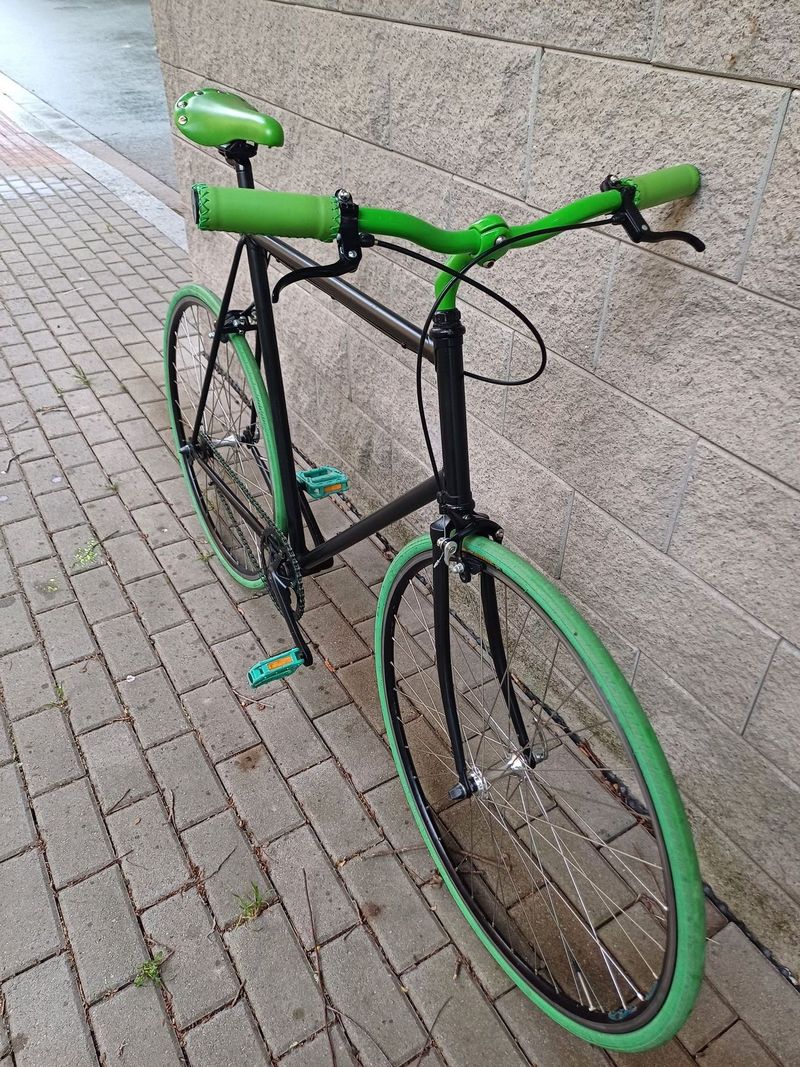 singlespeed 60cm