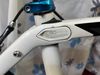 Trek domane