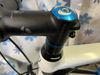Trek domane